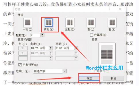 Word 分栏怎么用